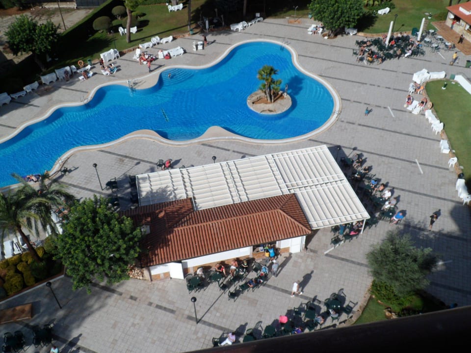Pool mit Getränkebar BQ Belvedere Hotel