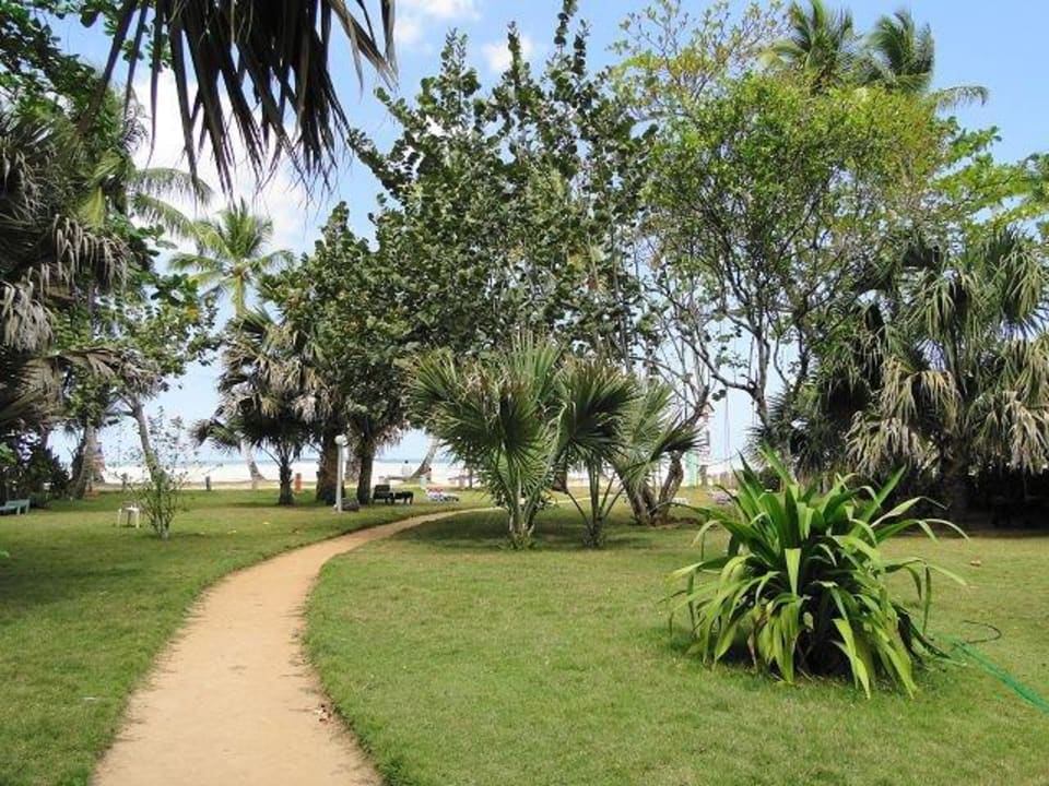 Strandhotel Hotel Coyamar