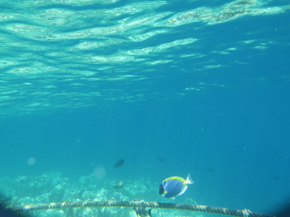 Strand Centara Ras Fushi Resort & Spa Maldives