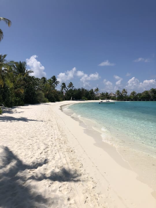 Strand Safari Island Maldives