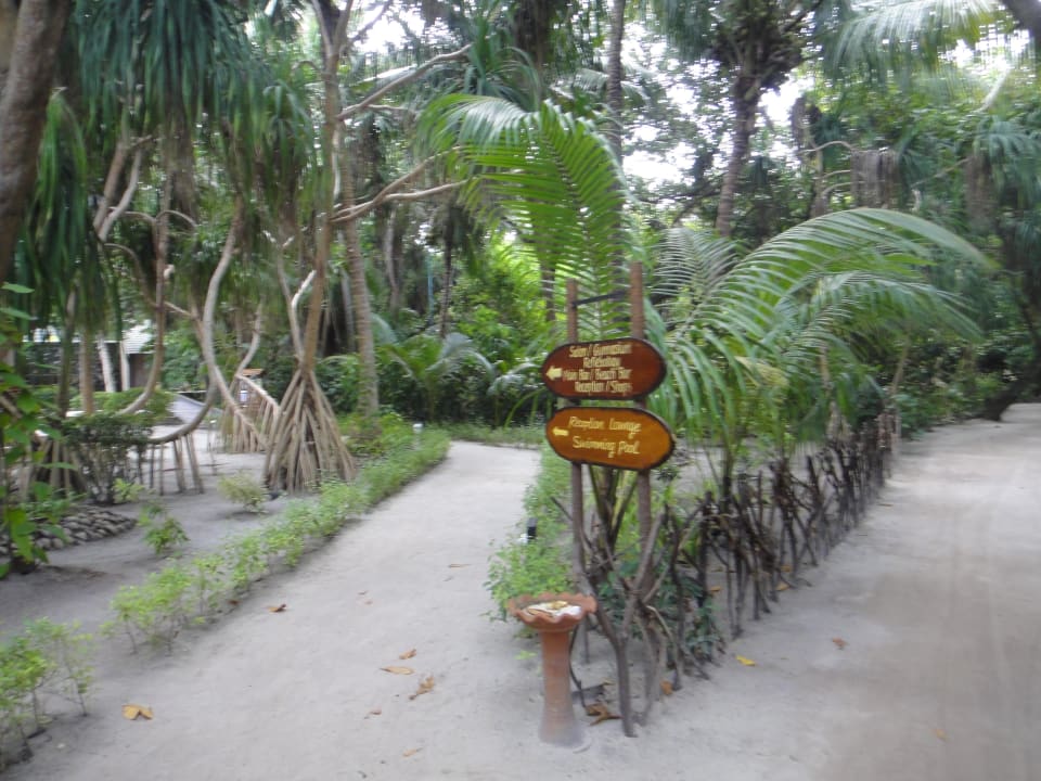 Inselwege, Urwald Adaaran Select Meedhupparu Island Resort - Premium All Inclusive