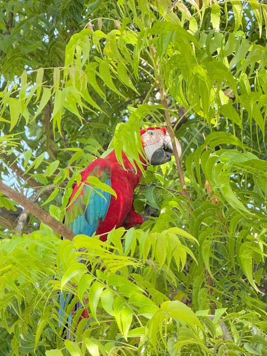 Gartenanlage Villa Park Sun Island
