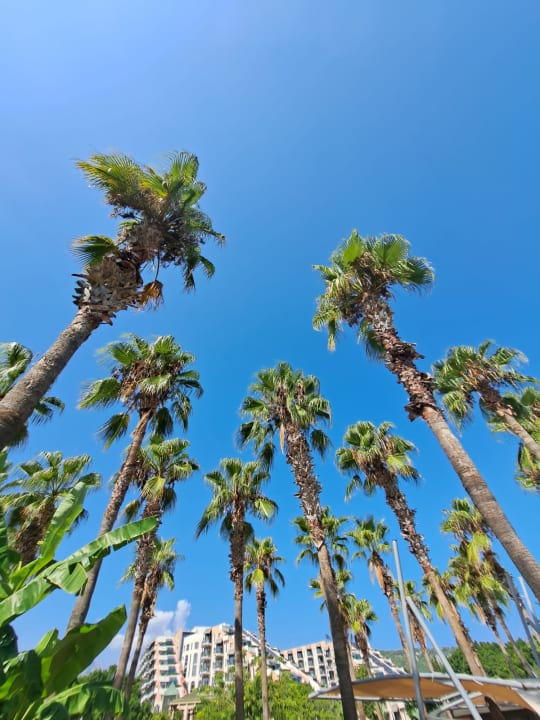 Gartenanlage Limak Limra Hotel & Resort