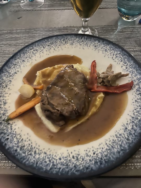 Gastro PALOMA Perissia