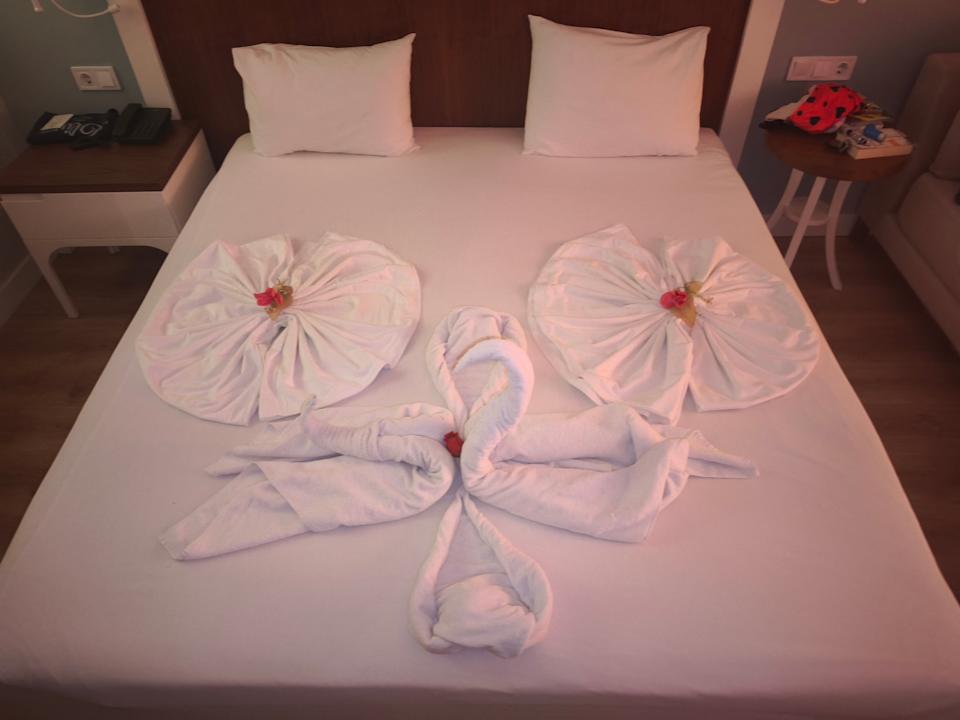 Zimmer Seashell Vega