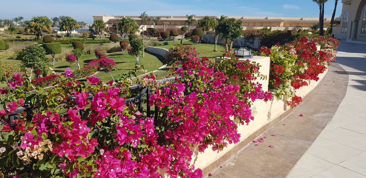 Gartenanlage Cleopatra Luxury Resort Makadi Bay