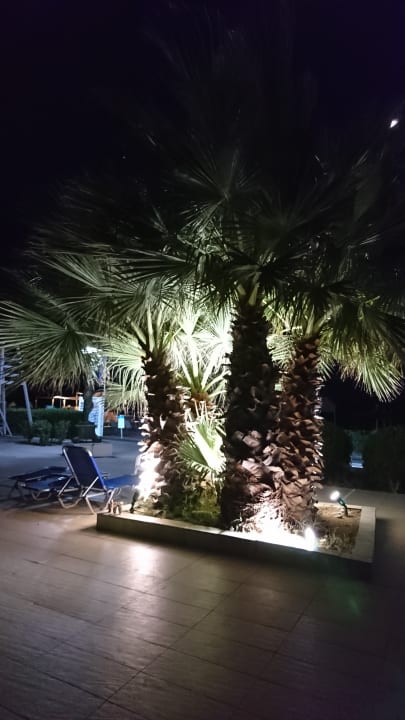 Gartenanlage Sandy Villas Resort