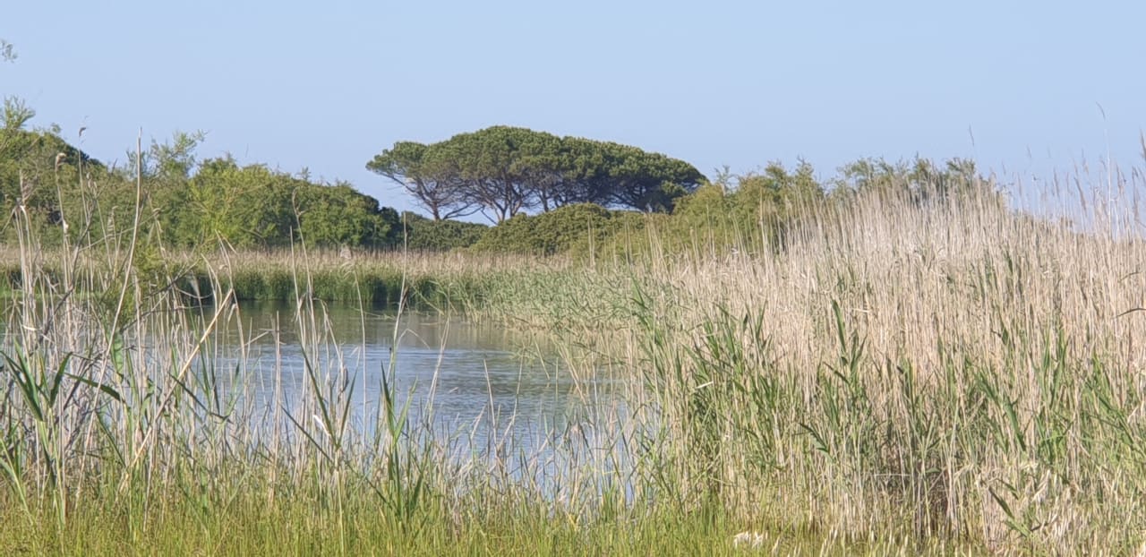 Strand Janna e Sole Resort