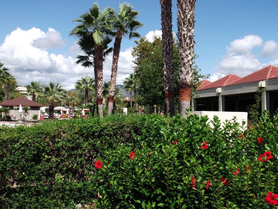Gartenanlage vor der Majesty-Bar Club Tuana Fethiye