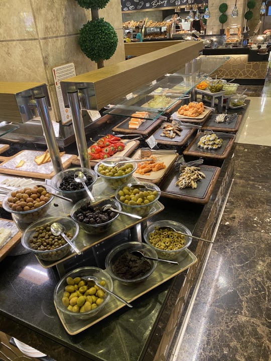 Gastro Papillon Ayscha