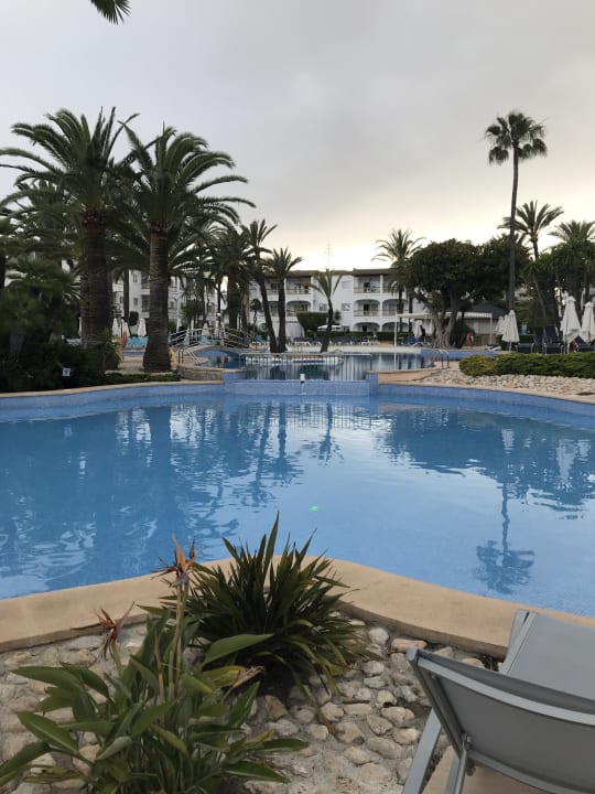 Pool Alcudia Garden Aparthotel