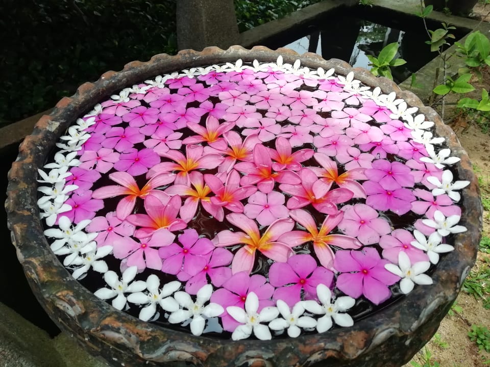 Sonstiges Guesthouse Paya Beach Spa & Dive Resort