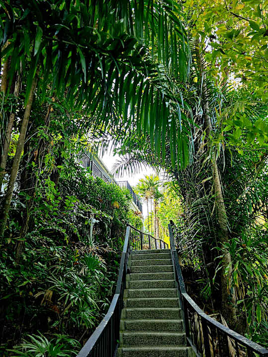 Gartenanlage Moracea by Khao Lak Resort