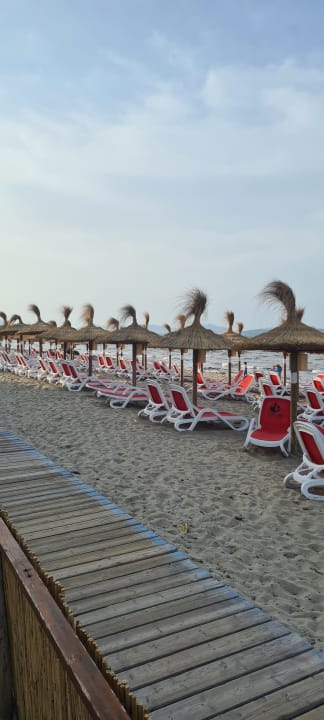 Strand Grupotel Dunamar