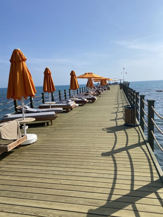 Strand Arum Barut Collection