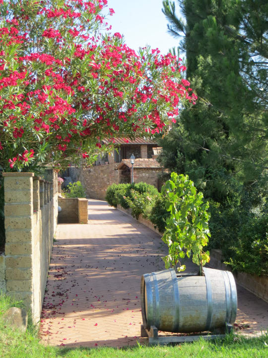 Garten Agriturismo Podere del Vescovo