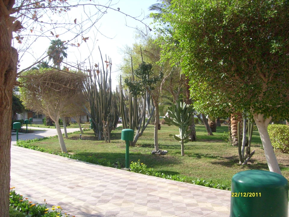 Garten Shams Safaga Resort