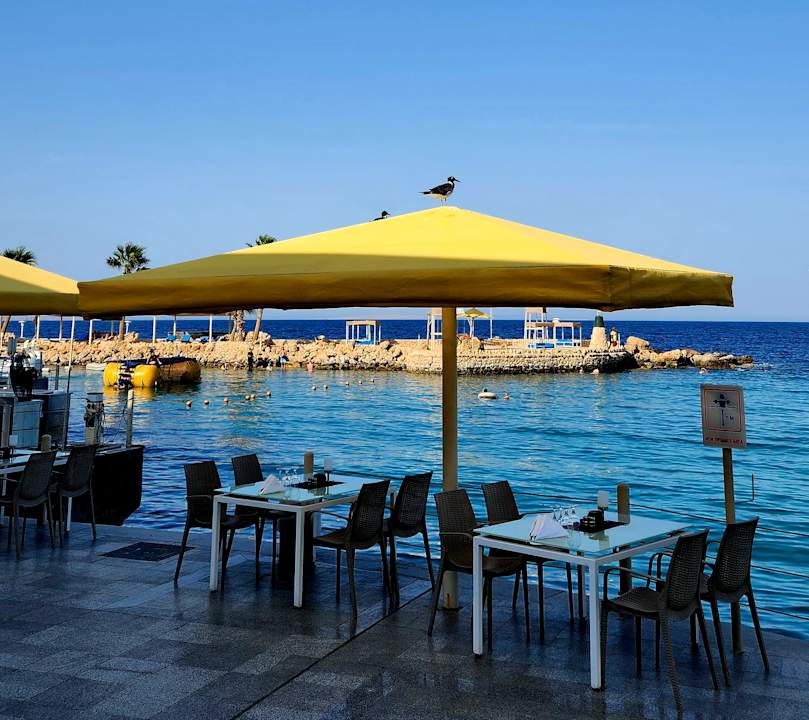 Außenansicht Pickalbatros Citadel Resort