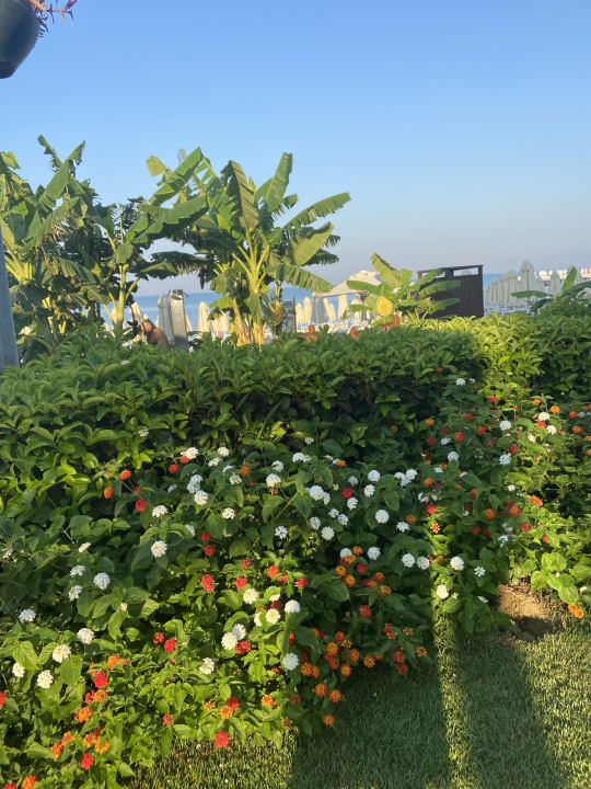 Gartenanlage Seaden Quality Resort & Spa