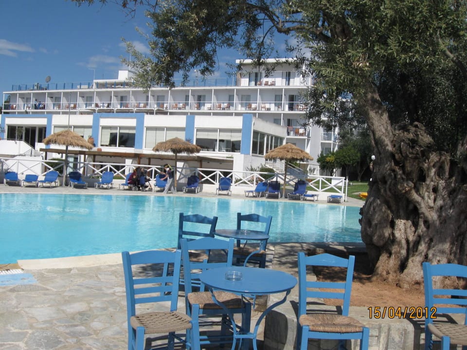 Typisch Griechisch Brown Beach Eretria