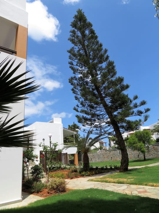 Außenansicht Alexander Beach Hotel & Village Resort