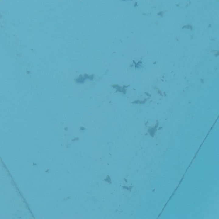 Pool La Plage Hotel & Resort