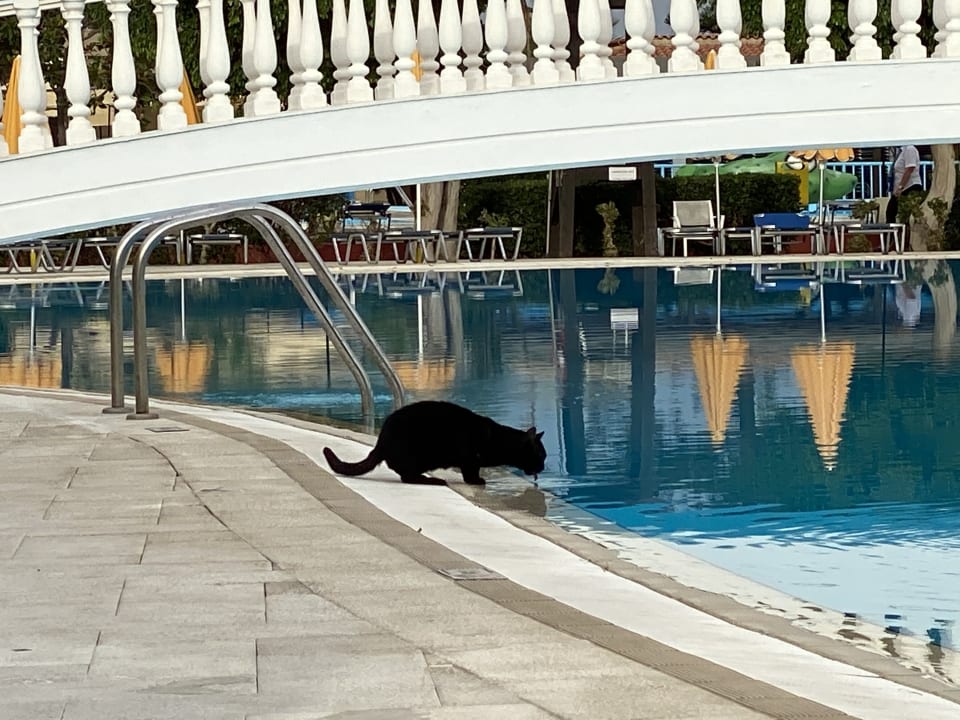 Pool Sunshine Rhodes