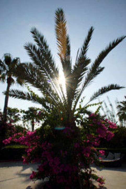 Park Saphir Resort & Spa