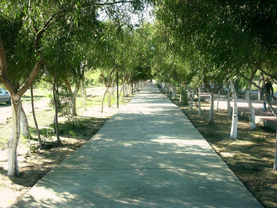 Allee Side Breeze Hotel