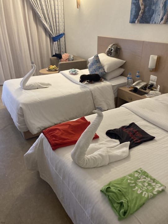 Zimmer Palm Beach Resort