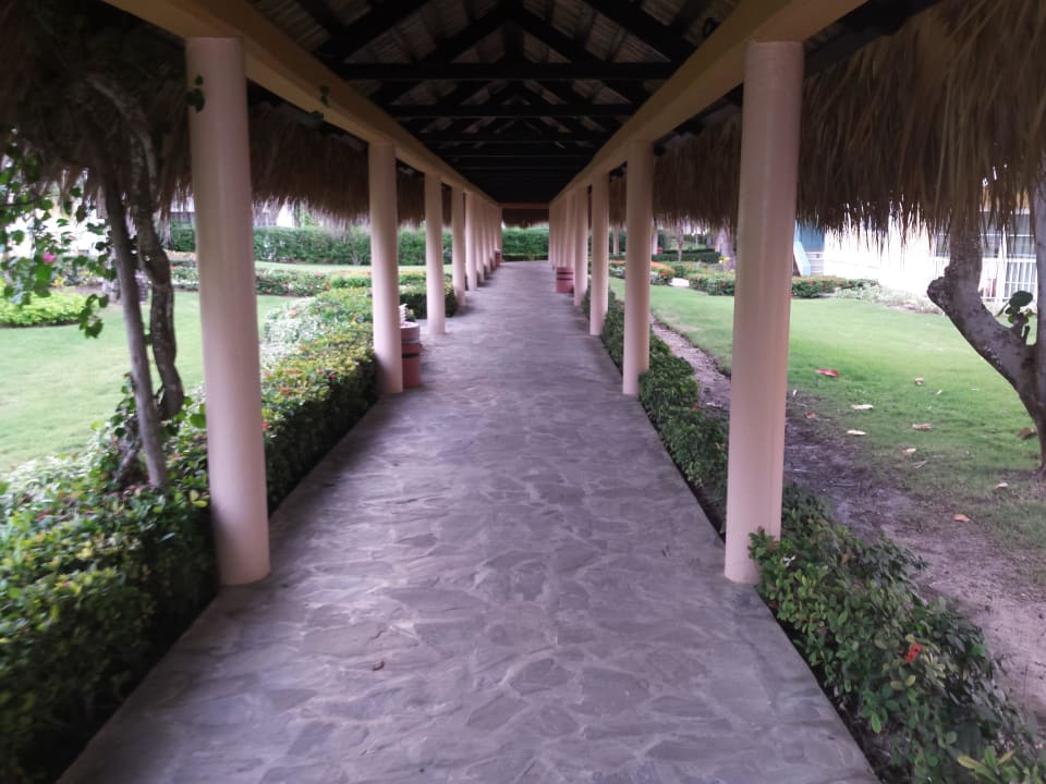 Hotel Grand Palladium Palace Resort, Spa & Casino Hotel Grand Palladium Palace Resort, Spa & Casino