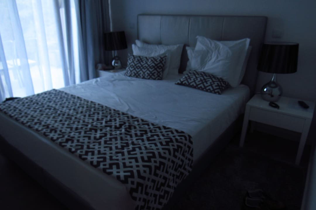 Zimmer Pico Dreams - Sportfish