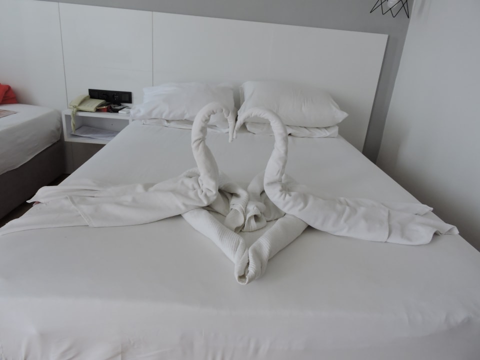 Zimmer Hotel Aslan City Kleopatra