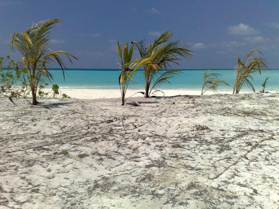 Palme e mare Villa Park Sun Island