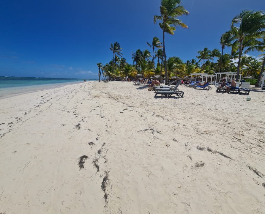 Strand Catalonia Punta Cana - All Inclusive