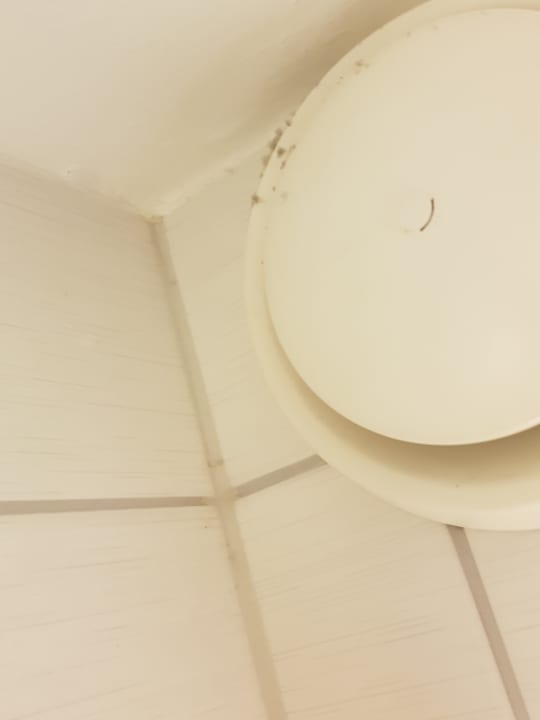 Zimmer Dorint Hotel Bonn