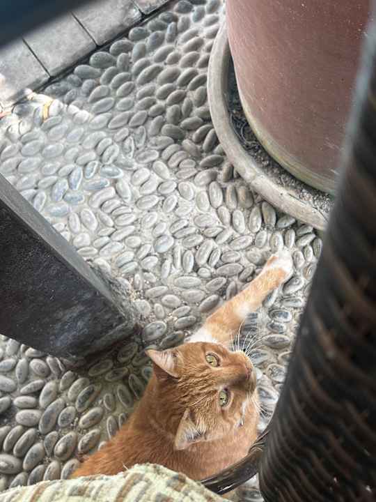 Sonstiges Alp Pasa Hotel - Special Class