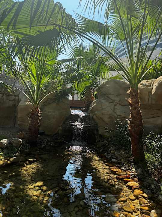 Gartenanlage Grand Hyatt Dubai