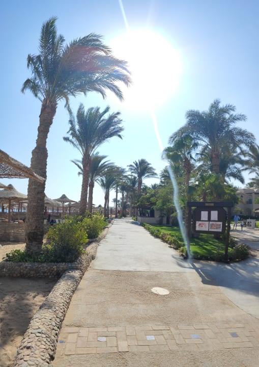 Strand Jaz Makadi Oasis Resort