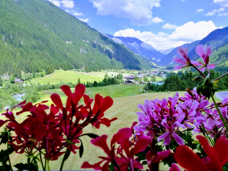 Ausblick Haus Veidlis