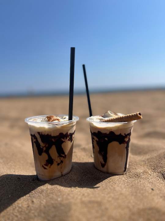 Strand Seashell Vega