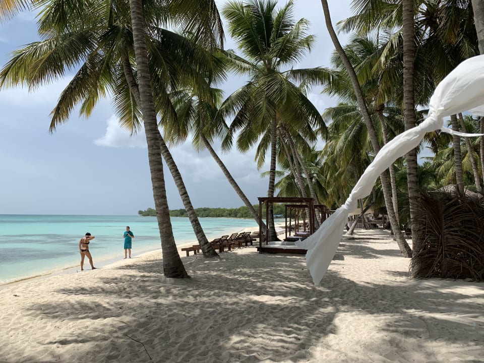 Strand Dreams Dominicus La Romana