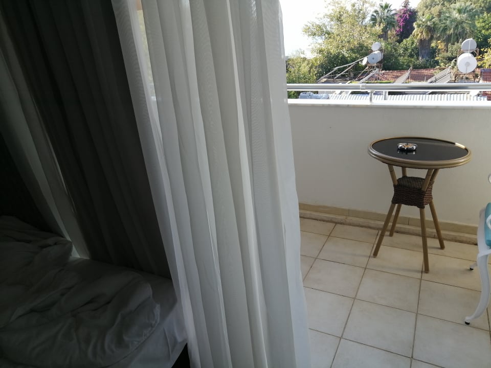 Zimmer Side Miami Beach