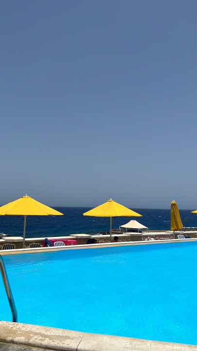 Pool Pickalbatros Citadel Resort