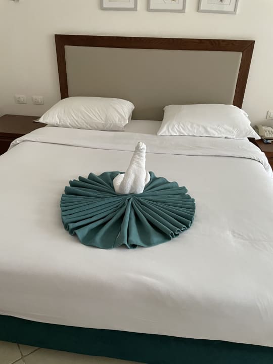 Zimmer Jaz Soma Beach