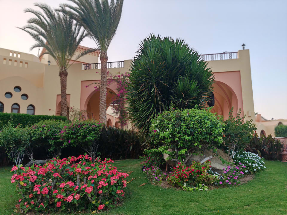 Gartenanlage Steigenberger Coraya Beach - Adults only