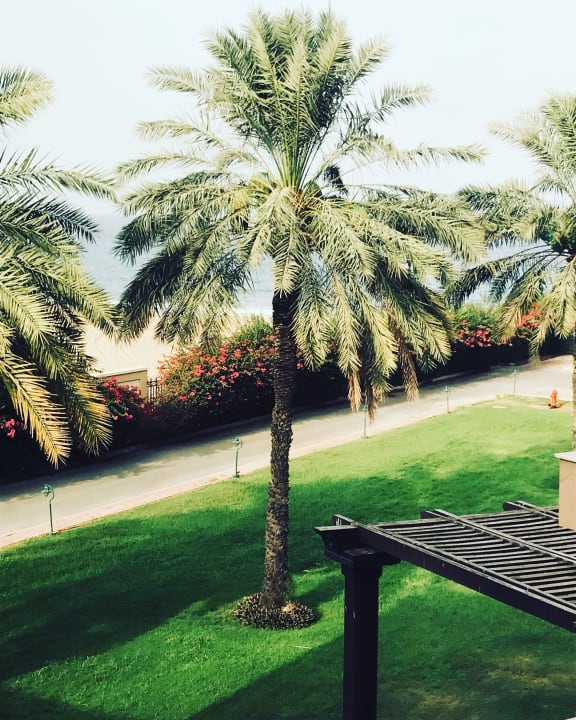 Ausblick Miramar Al Aqah Beach Resort