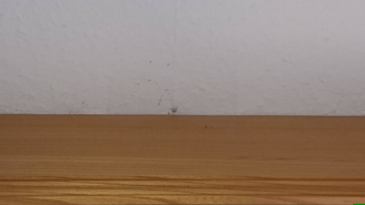 Spinnweben mit Bewohnern Moselhotel Peifer