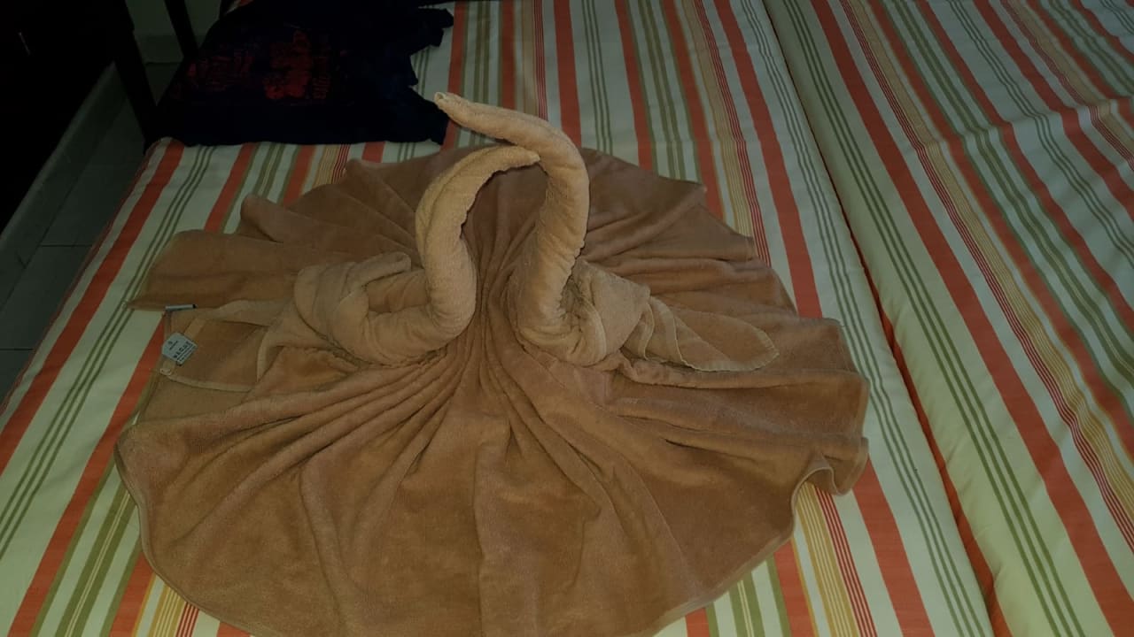 Jeden Tag wurde etwas aus Handtüchern ein Schwanenpaar gemac SBH Hotel Taro Beach