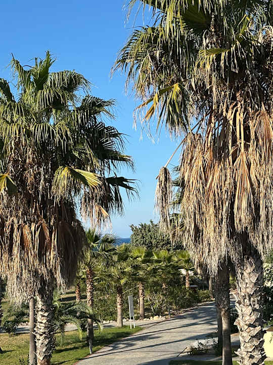 Ausblick Achilleas Beach Adults Only